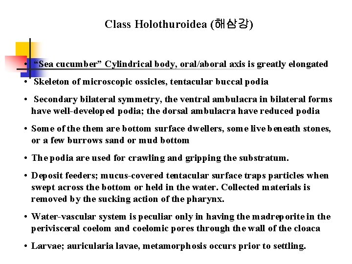 Class Holothuroidea (해삼강) • “Sea cucumber” Cylindrical body, oral/aboral axis is greatly elongated •