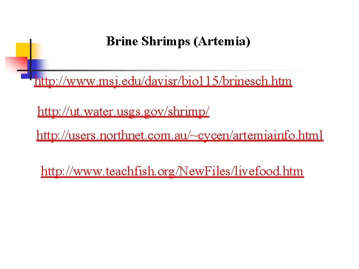 Brine Shrimps (Artemia) http: //www. msj. edu/davisr/bio 115/brinesch. htm http: //ut. water. usgs. gov/shrimp/