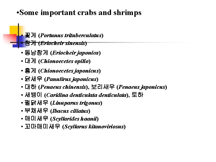  • Some important crabs and shrimps • 꽃게 (Portunus trituberculatus) • 참게 (Eriocheir