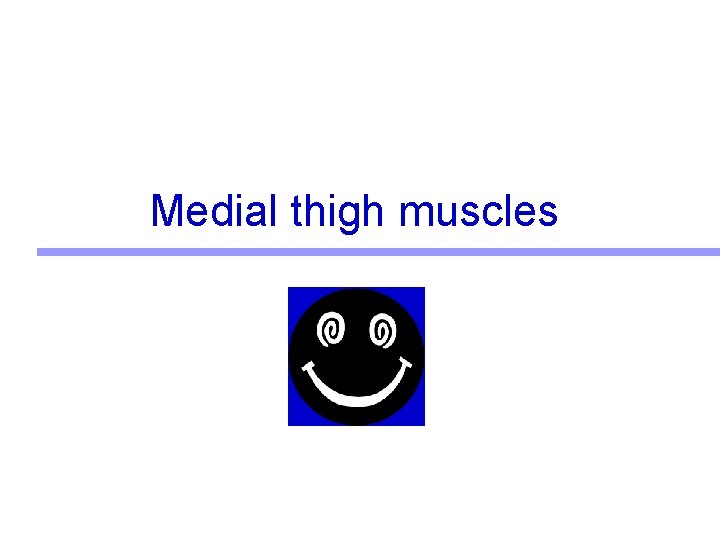 Medial thigh muscles 