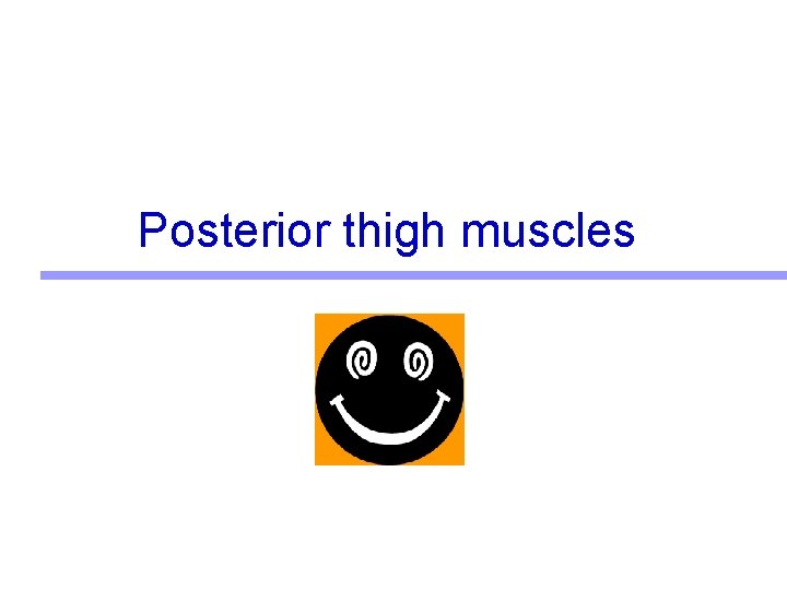 Posterior thigh muscles 