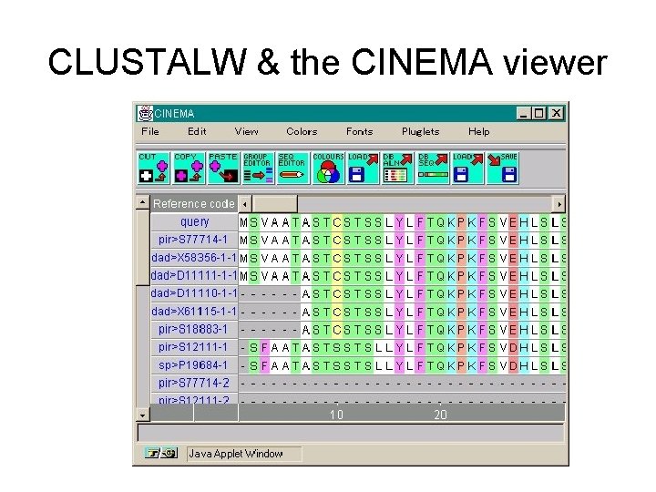 CLUSTALW & the CINEMA viewer 