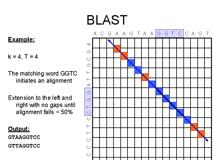 BLAST k = 4, T = 4 The matching word GGTC initiates an alignment