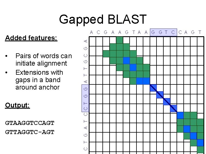 Gapped BLAST • • Pairs of words can initiate alignment Extensions with gaps in