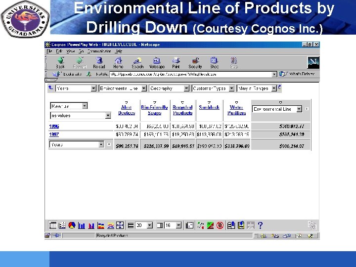 LOGO Environmental Line of Products by Drilling Down (Courtesy Cognos Inc. ) 
