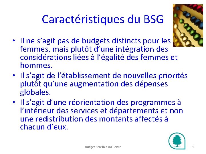 Caractéristiques du BSG • Il ne s’agit pas de budgets distincts pour les femmes,