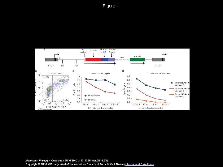 Figure 1 Molecular Therapy - Oncolytics 2016 3 DOI: (10. 1038/mto. 2016. 23) Copyright