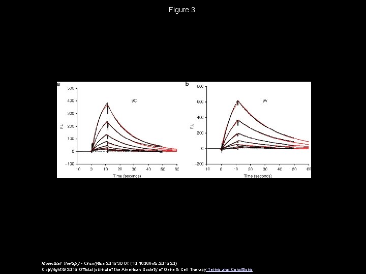 Figure 3 Molecular Therapy - Oncolytics 2016 3 DOI: (10. 1038/mto. 2016. 23) Copyright