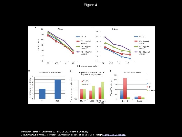 Figure 4 Molecular Therapy - Oncolytics 2016 3 DOI: (10. 1038/mto. 2016. 23) Copyright