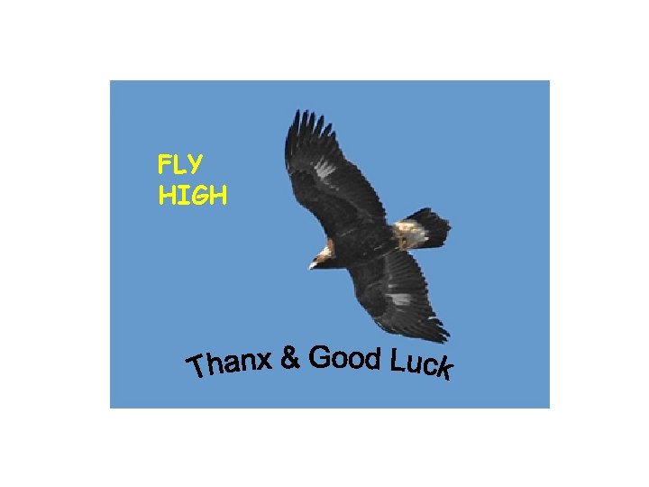 FLY HIGH FLY HIGH