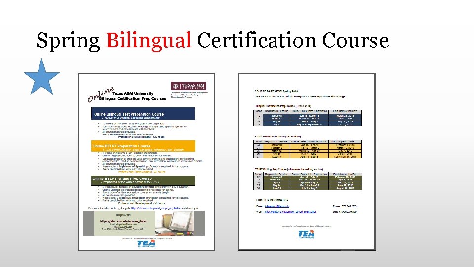 Spring Bilingual Certification Course 