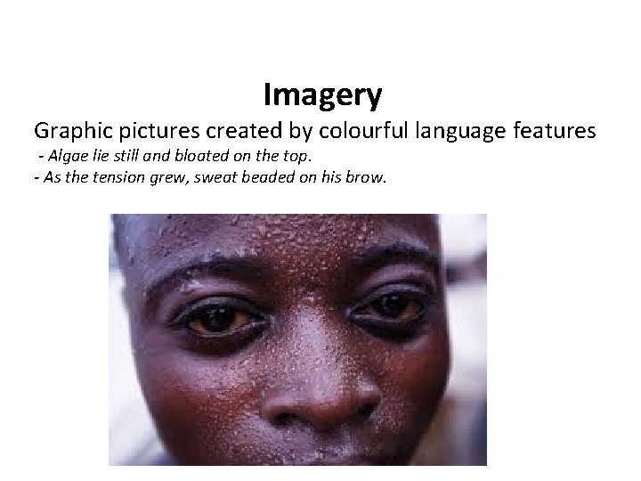 Imagery Graphic pictures created by colourful language features - Algae lie still and bloated Imagery Graphic pictures created by colourful language features - Algae lie still and bloated
