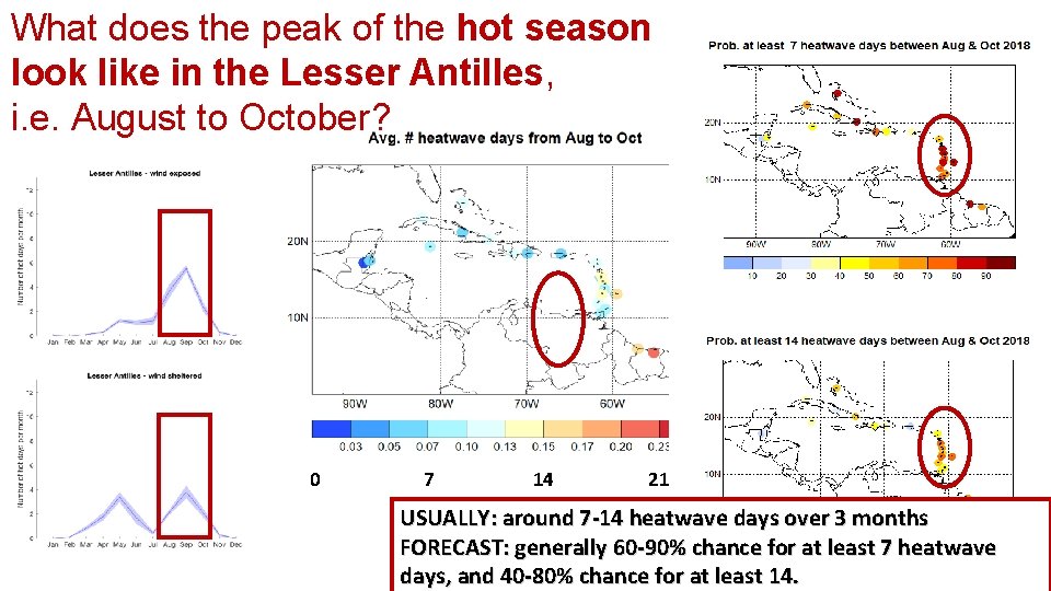 What does the peak of the hot season look like in the Lesser Antilles,