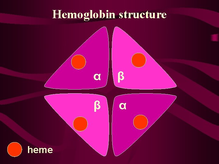 Hemoglobin structure heme α β β α 