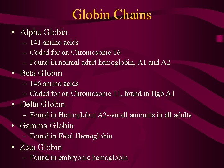 Globin Chains • Alpha Globin – 141 amino acids – Coded for on Chromosome