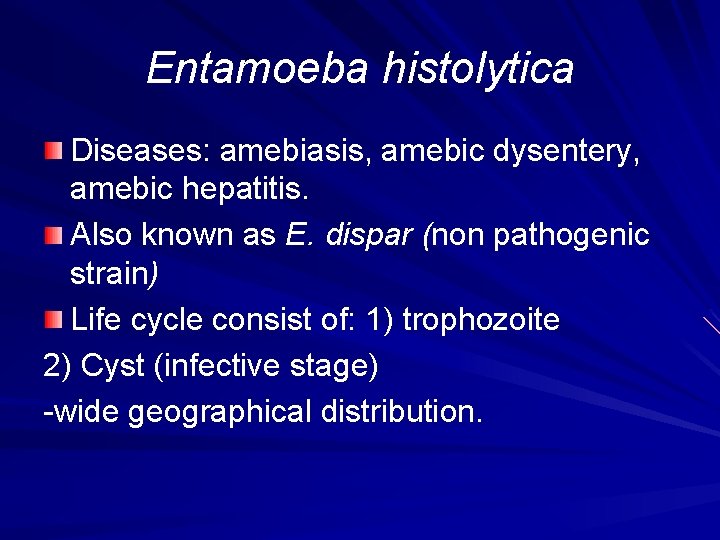 Entamoeba histolytica Diseases: amebiasis, amebic dysentery, amebic hepatitis. Also known as E. dispar (non