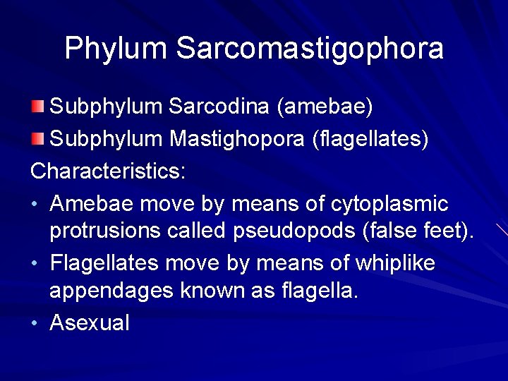 Phylum Sarcomastigophora Subphylum Sarcodina (amebae) Subphylum Mastighopora (flagellates) Characteristics: • Amebae move by means