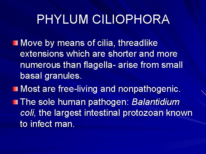 PHYLUM CILIOPHORA Move by means of cilia, threadlike extensions which are shorter and more