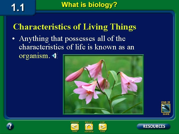 Characteristics of Living Things • Anything that possesses all of the characteristics of life