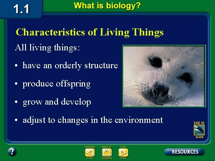 Characteristics of Living Things All living things: • have an orderly structure • produce