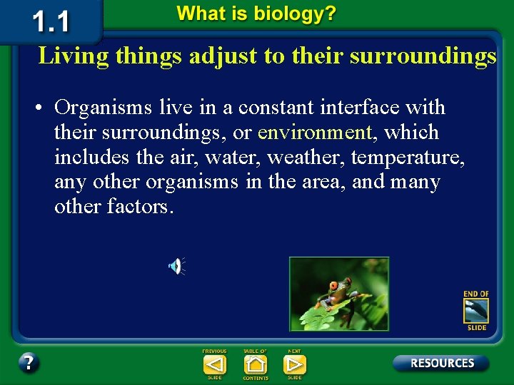 Living things adjust to their surroundings • Organisms live in a constant interface with