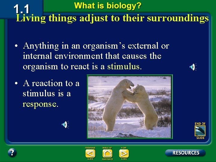 Living things adjust to their surroundings • Anything in an organism’s external or internal