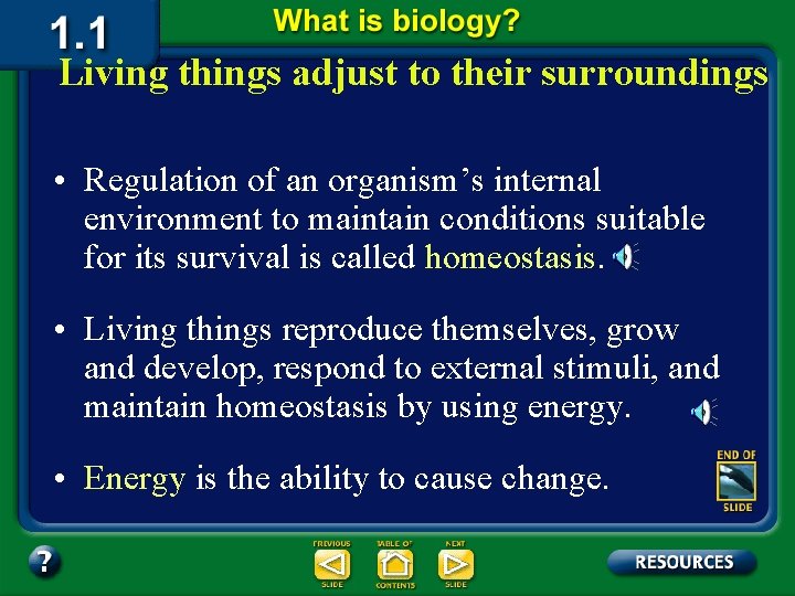 Living things adjust to their surroundings • Regulation of an organism’s internal environment to