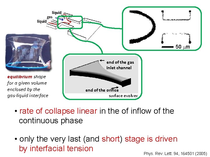 liquid gas 50 mm end of the gas Inlet channel equilibrium shape for a