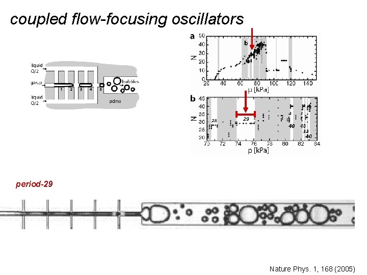 coupled flow-focusing oscillators period-29 Nature Phys. 1, 168 (2005) 