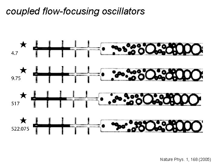 coupled flow-focusing oscillators Nature Phys. 1, 168 (2005) 