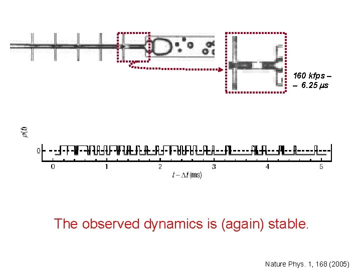 160 kfps – – 6. 25 ms The observed dynamics is (again) stable. Nature