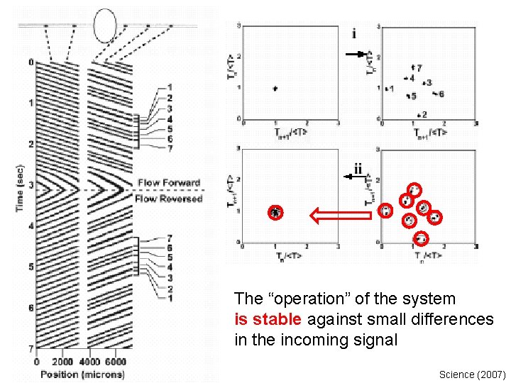 The “operation” of the system is stable against small differences in the incoming signal