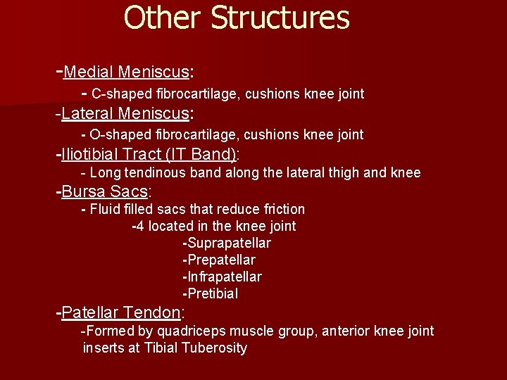 Other Structures -Medial Meniscus: - C-shaped fibrocartilage, cushions knee joint -Lateral Meniscus: - O-shaped