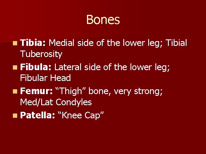 Bones n Tibia: Medial side of the lower leg; Tibial Tuberosity n Fibula: Lateral