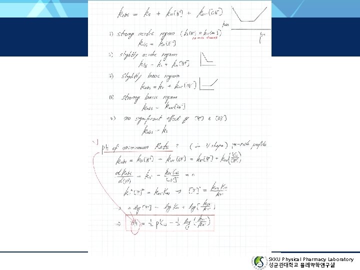 SKKU Physical Pharmacy Laboratory 성균관대학교 물리약학연구실 