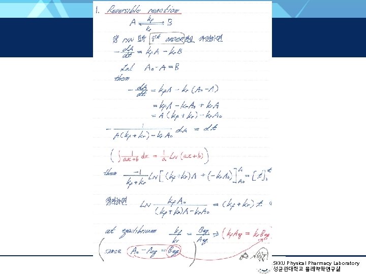 SKKU Physical Pharmacy Laboratory 성균관대학교 물리약학연구실 