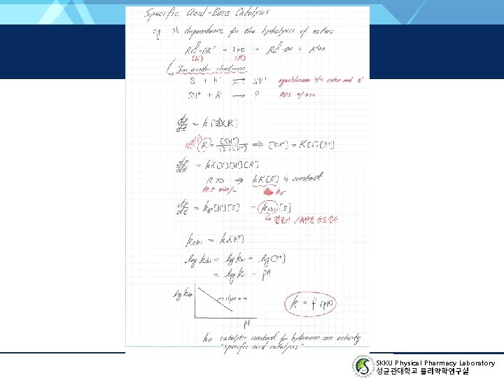 SKKU Physical Pharmacy Laboratory 성균관대학교 물리약학연구실 