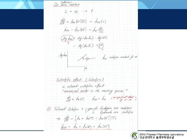 SKKU Physical Pharmacy Laboratory 성균관대학교 물리약학연구실 