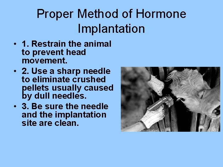 Proper Method of Hormone Implantation • 1. Restrain the animal to prevent head movement.
