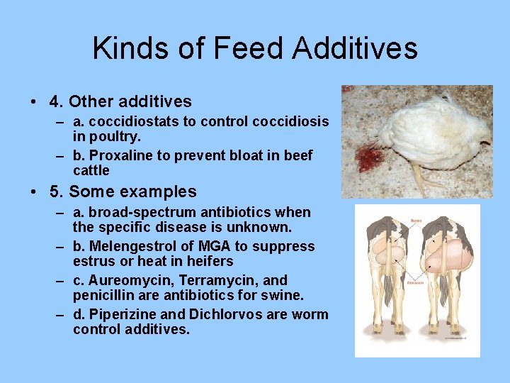 Kinds of Feed Additives • 4. Other additives – a. coccidiostats to control coccidiosis