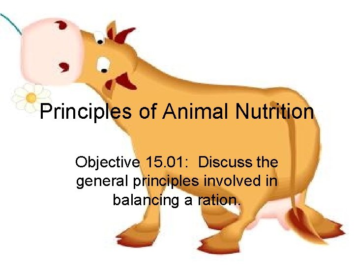 Principles of Animal Nutrition Objective 15. 01: Discuss the general principles involved in balancing