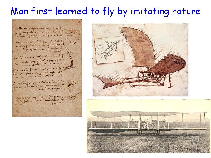 Man first learned to fly by imitating nature 