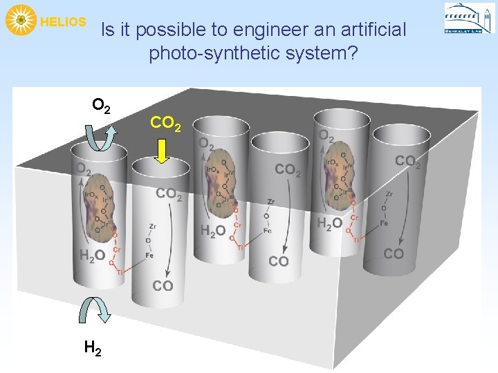 HELIOS Is it possible to engineer an artificial photo-synthetic system? O 2 H 2