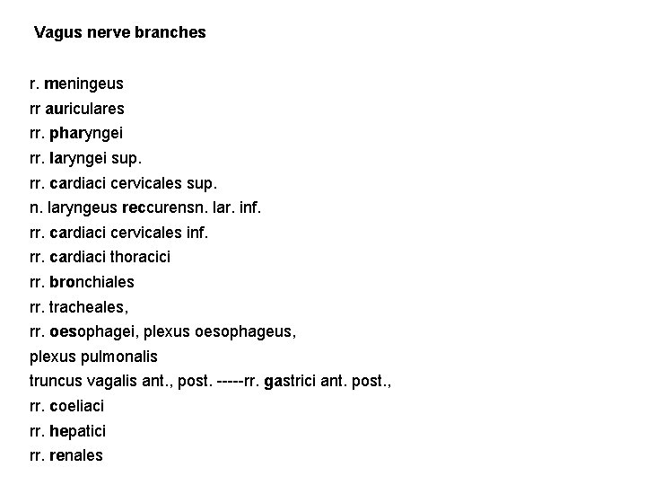 Vagus nerve branches r. meningeus rr auriculares rr. pharyngei rr. laryngei sup. rr. cardiaci