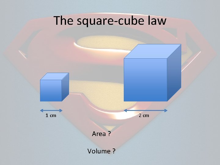 The square-cube law 1 cm 2 cm Area ? Volume ? 