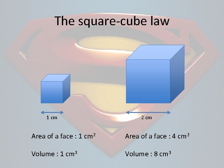 The square-cube law 1 cm 2 cm Area of a face : 1 cm