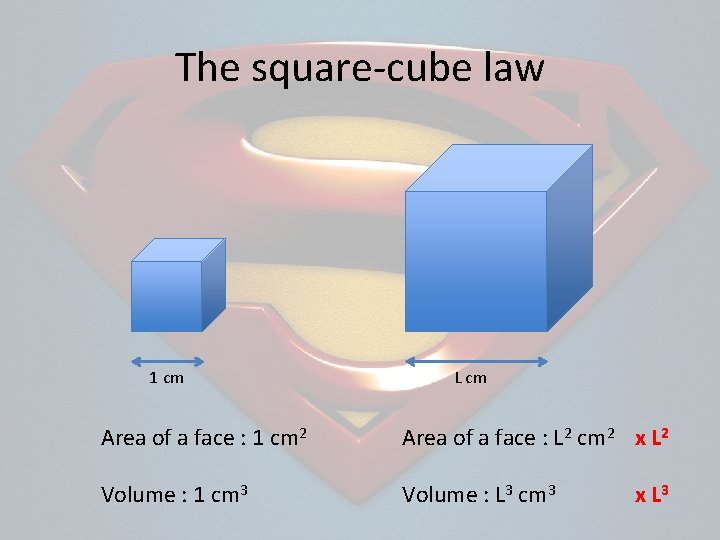 The square-cube law 1 cm L cm Area of a face : 1 cm