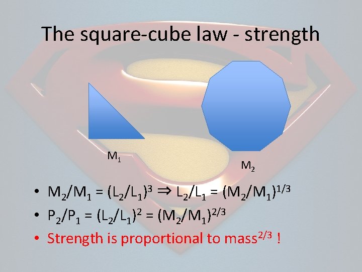 The square-cube law - strength M 1 M 2 • M 2/M 1 =