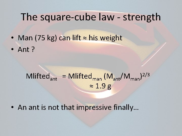 The square-cube law - strength • Man (75 kg) can lift ≈ his weight