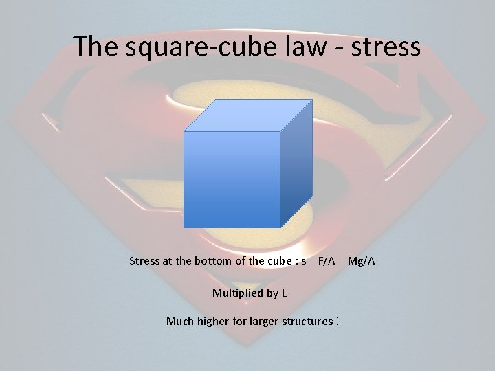 The square-cube law - stress Stress at the bottom of the cube : s